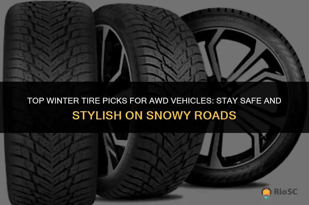 best winter tires for awd