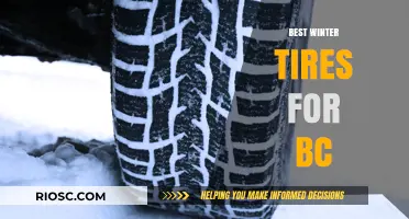 Top Winter Tire Picks for British Columbia: Stay Safe on Snowy Roads