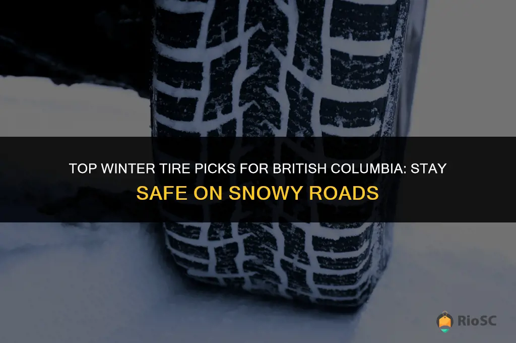 best winter tires for bc