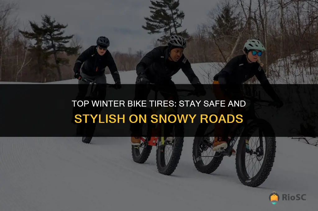 best winter tires for bikes