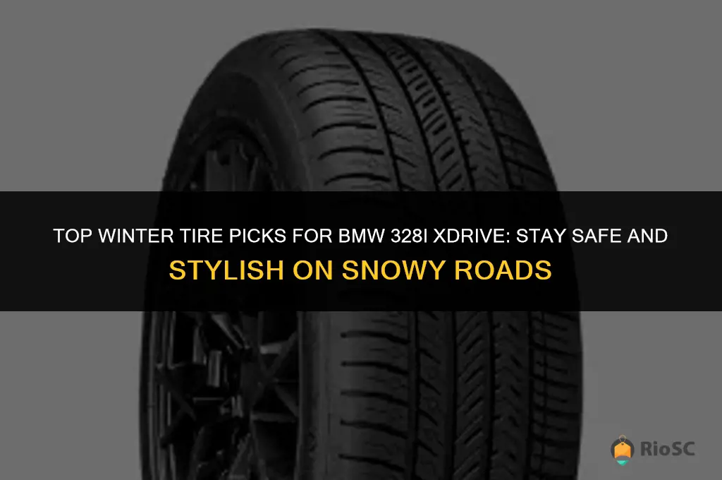 best winter tires for bmw 328i xdrive