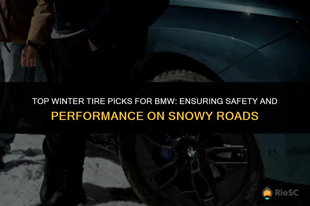 best winter tires for bmw