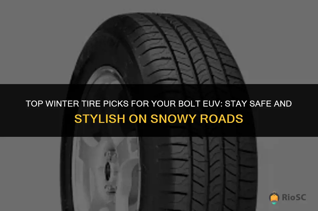 best winter tires for bolt euv