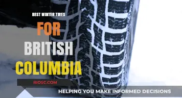 Conquering the Cold: Top Winter Tires for British Columbia's Diverse Terrain