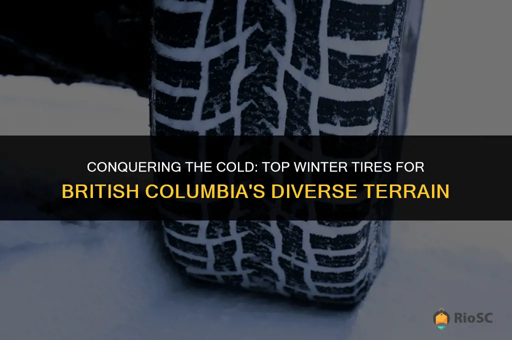best winter tires for british columbia