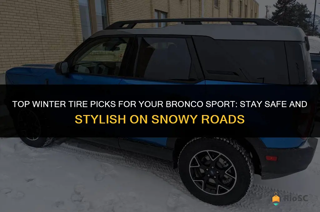 best winter tires for bronco sport