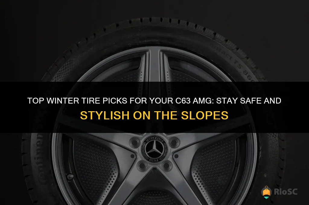 best winter tires for c63 amg