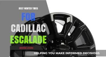 Top Winter Tire Picks for Your Cadillac Escalade: Stay Safe and Stylish on Snowy Roads