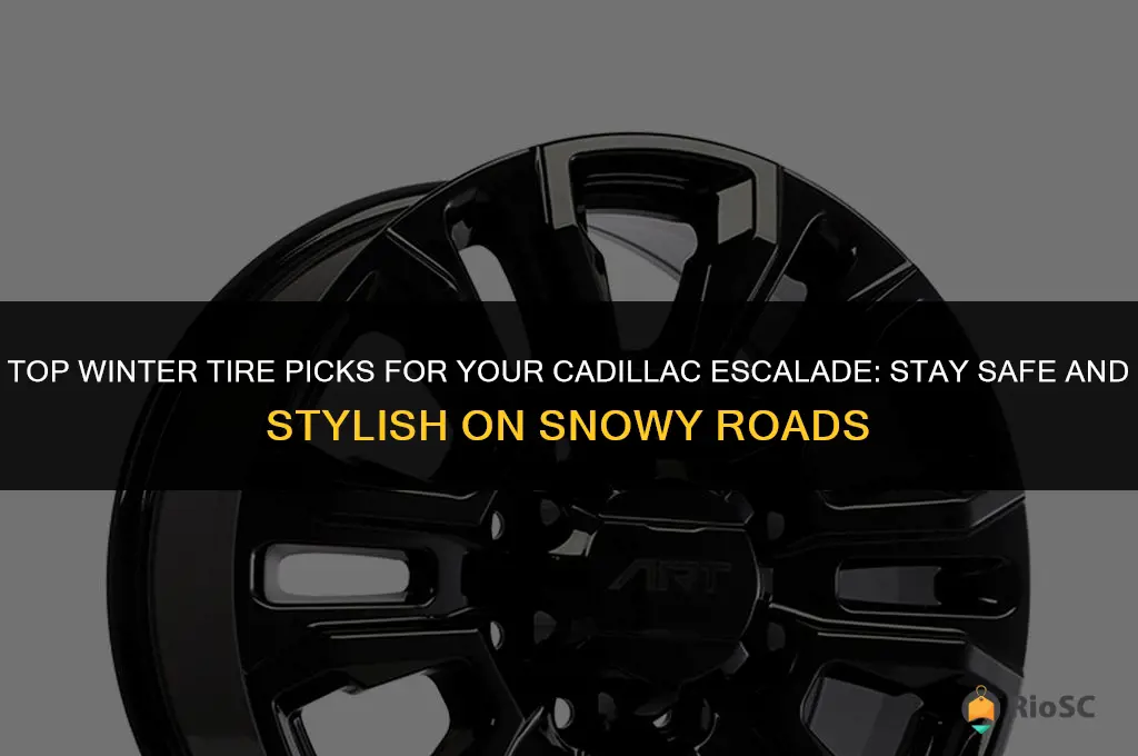 best winter tires for cadillac escalade