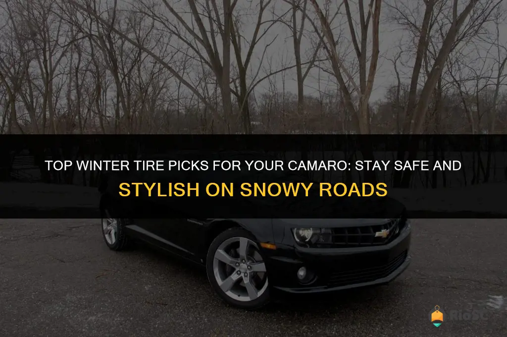 best winter tires for camaro