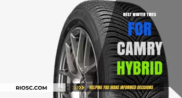 Top Winter Tire Picks for Your Camry Hybrid: Stay Safe and Stylish on Snowy Roads
