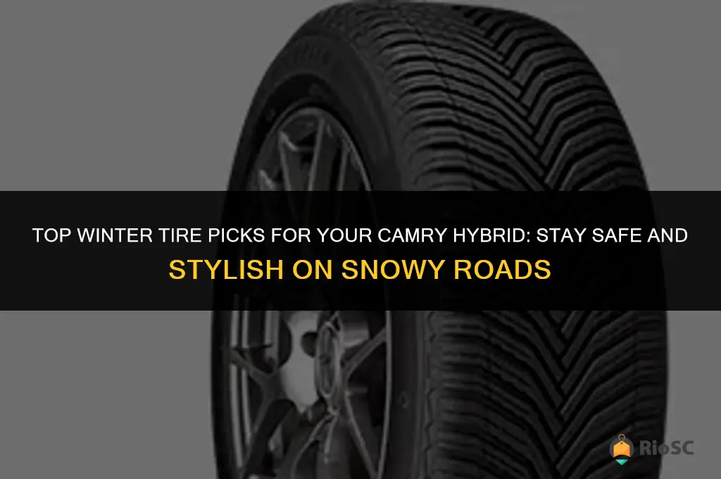best winter tires for camry hybrid
