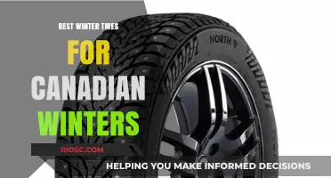 Conquering Canadian Winters: Top Tire Picks for Unmatched Traction and Safety