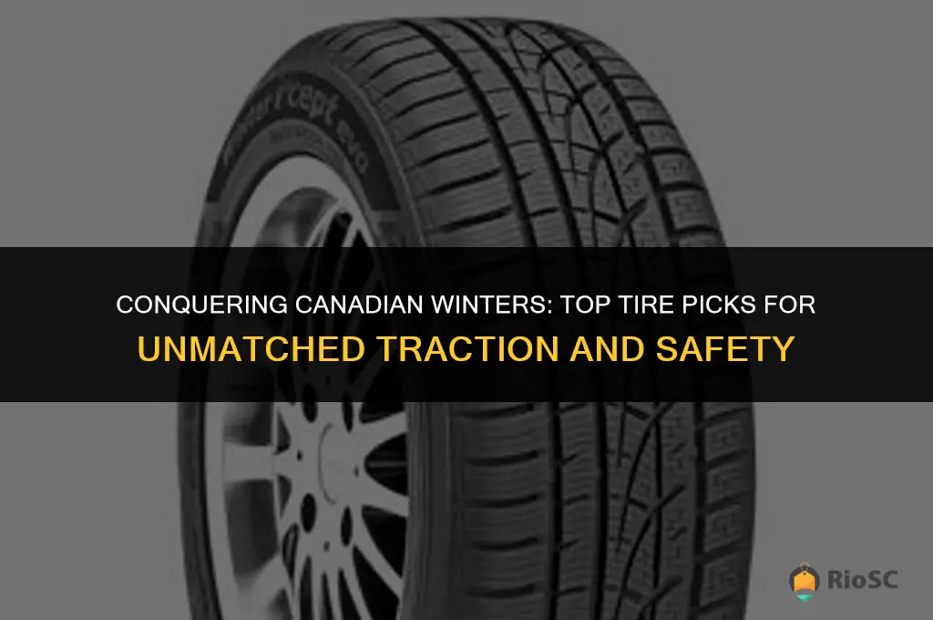 best winter tires for canadian winters