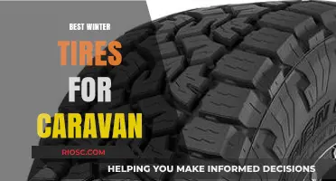 Top Winter Tires for Caravans: Stay Safe on the Road This Season