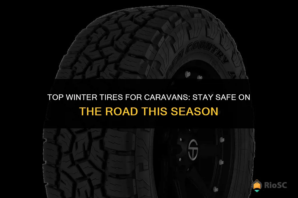 best winter tires for caravan