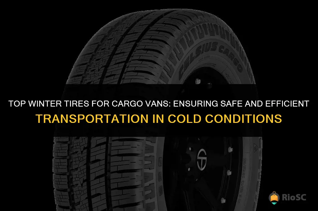 best winter tires for cargo van
