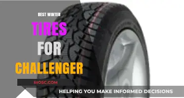 Top Winter Tire Picks for Your Challenger: Stay Safe and Stylish on Snowy Roads