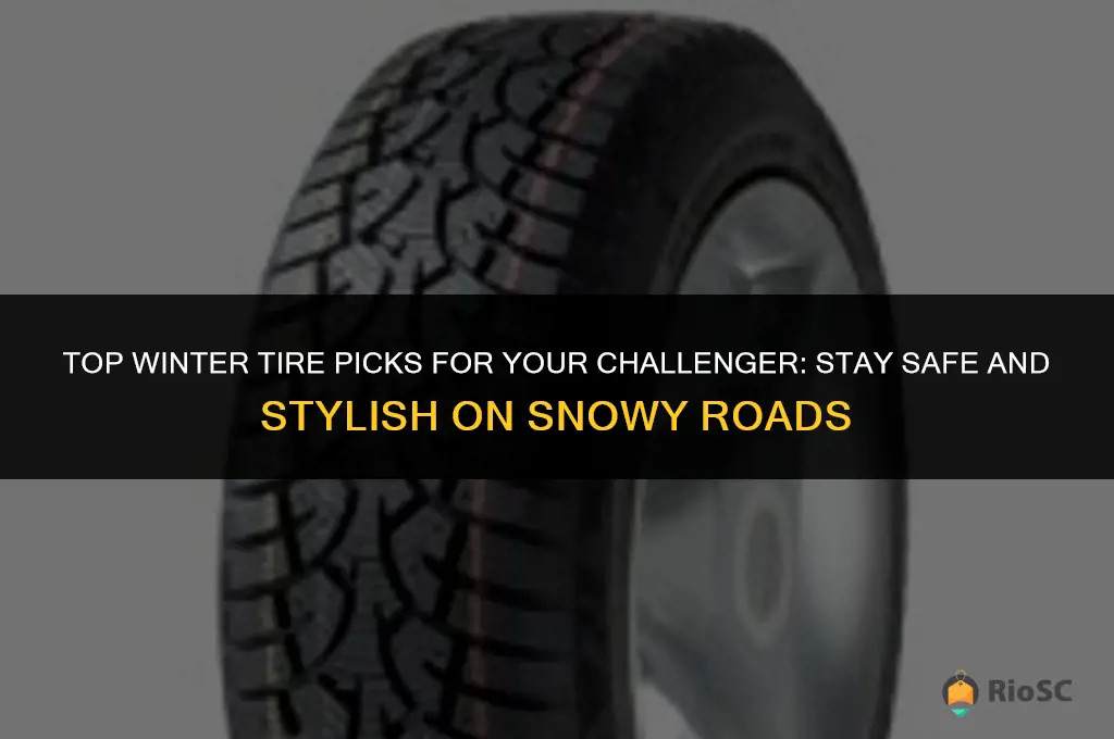 best winter tires for challenger