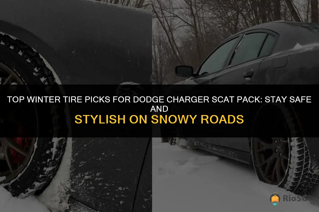best winter tires for charger scat pack