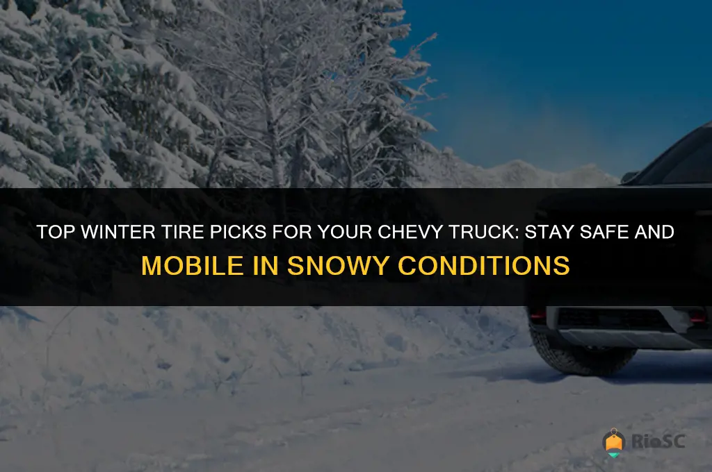 best winter tires for chevy truck