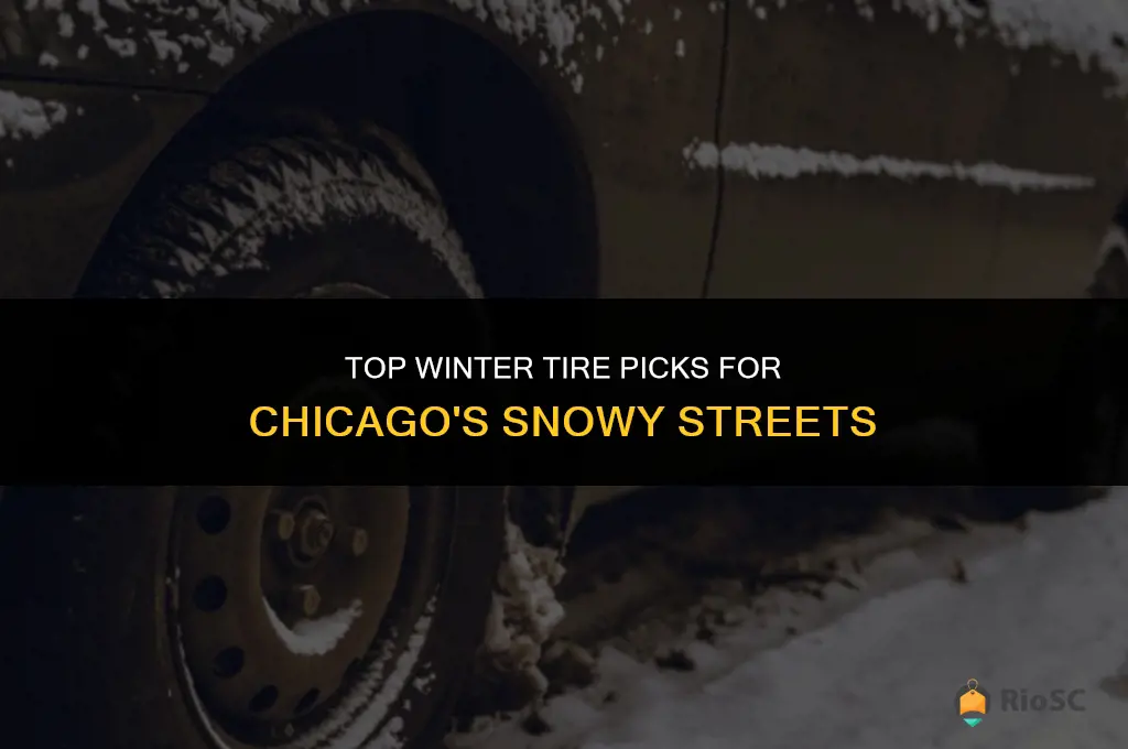 best winter tires for chicago