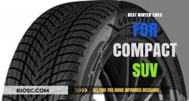 Top Winter Tire Picks for Compact SUVs: Stay Safe and Stylish on Snowy Roads