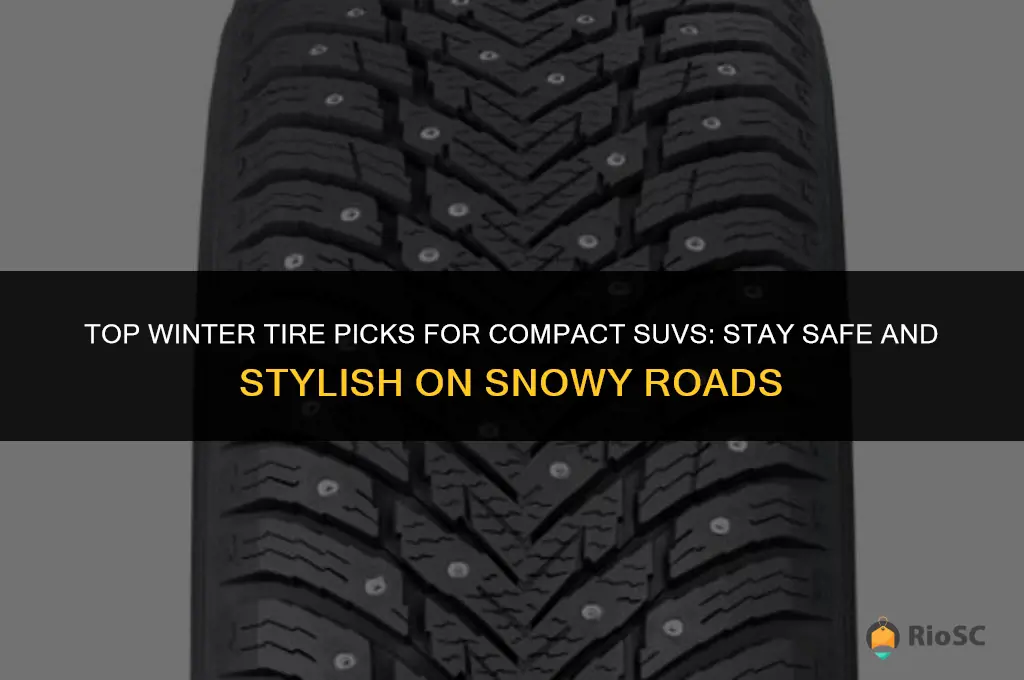 best winter tires for compact suv