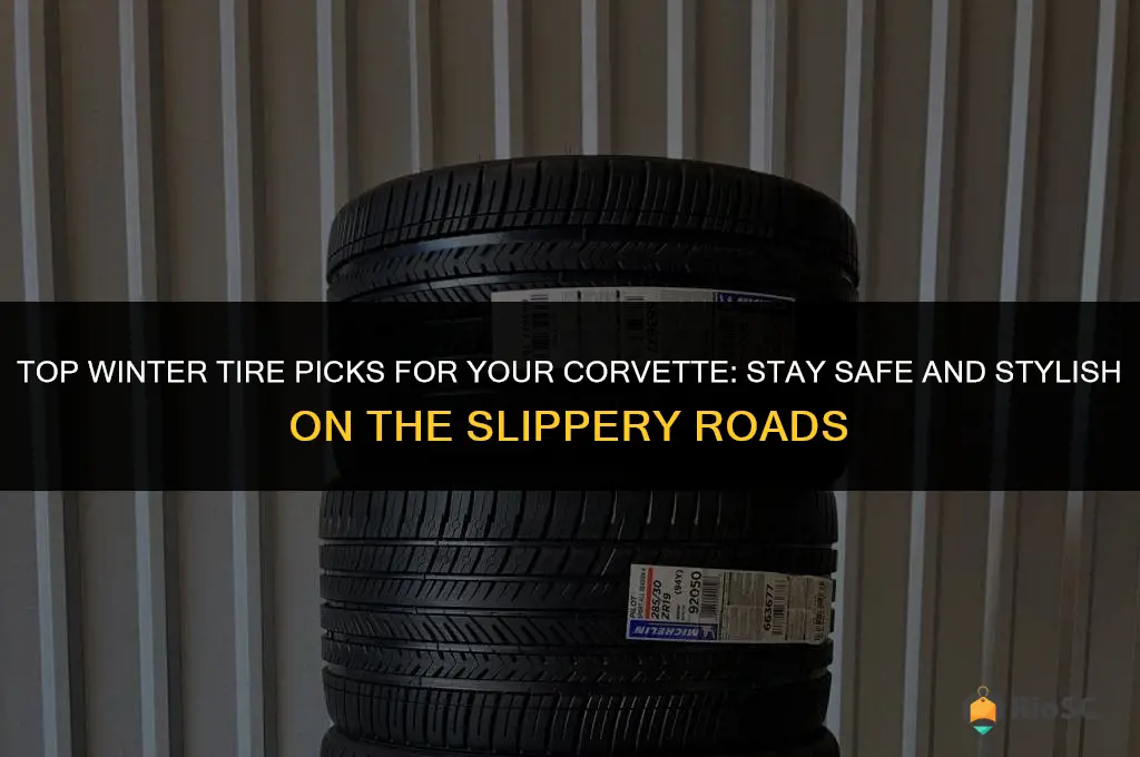 best winter tires for corvette