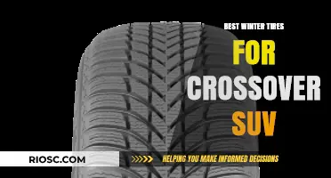 Top Winter Tire Picks for Crossover SUVs: Stay Safe and Stylish on Snowy Roads