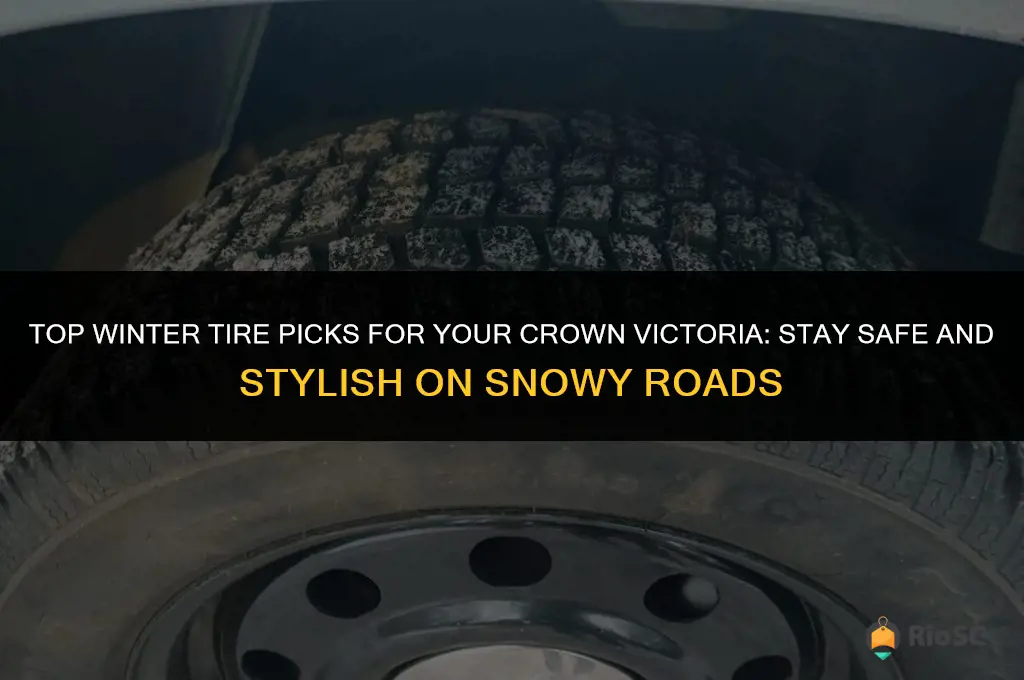 best winter tires for crown victoria