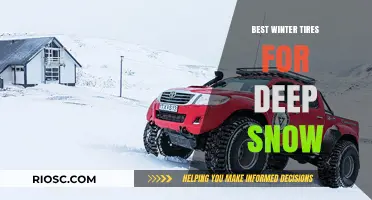 Conquer the Blizzard: Top Winter Tires for Deep Snow Performance