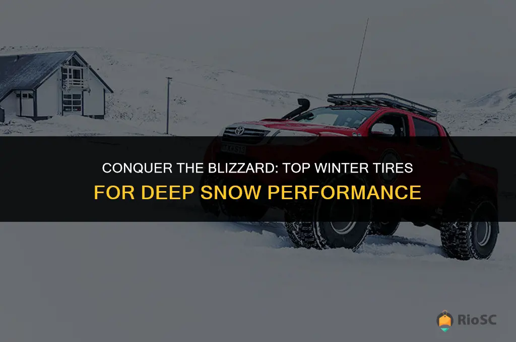 best winter tires for deep snow