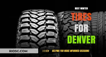 Denver's Top Winter Tire Picks: Stay Safe on Snowy Roads