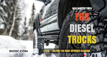 Top Winter Tires for Diesel Trucks: Stay Safe and Mobile in Snowy Conditions