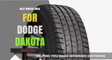 Top Winter Tire Picks for Dodge Dakota: Stay Safe and Stylish on Snowy Roads