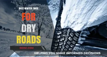 Top Winter Tires for Dry Road Conditions: Stay Safe and Smooth This Season