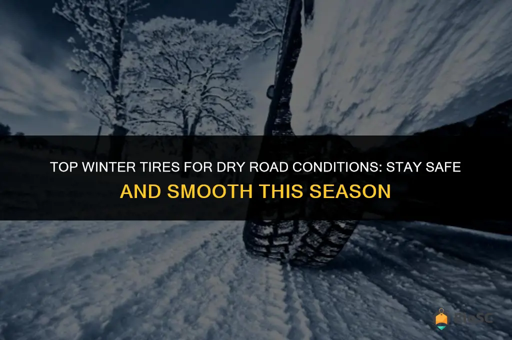 best winter tires for dry roads