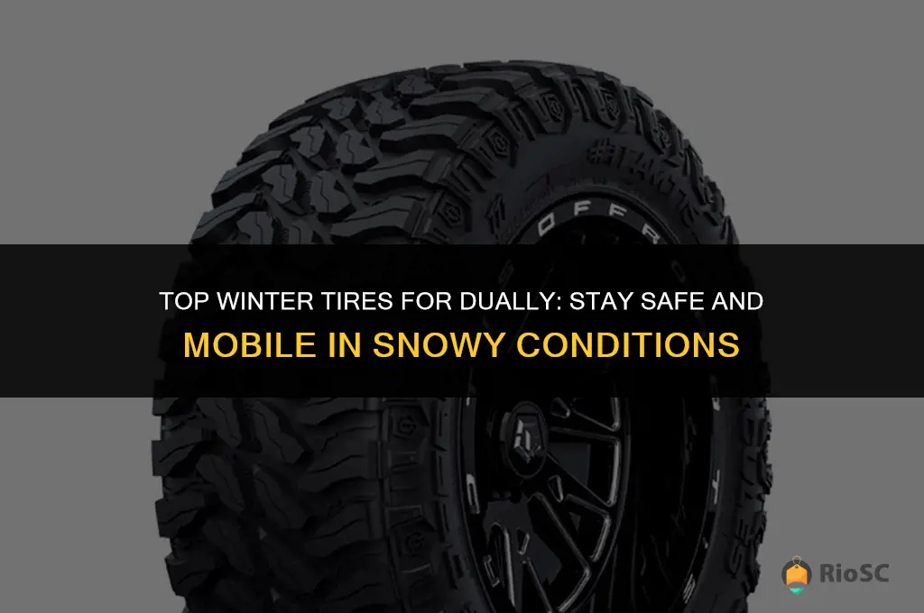 best winter tires for dually