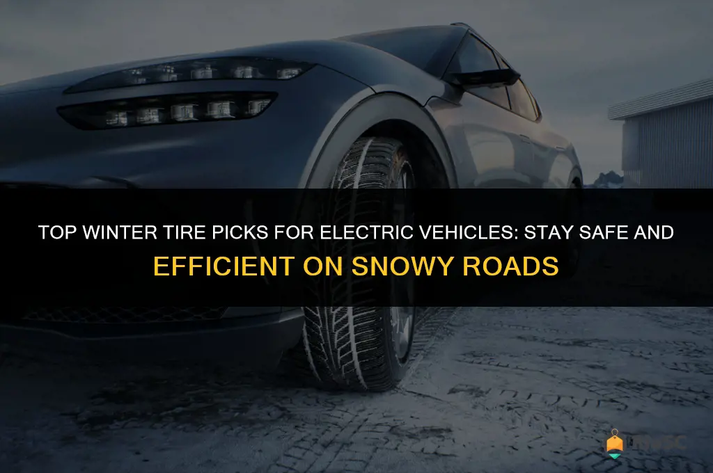 best winter tires for electric car