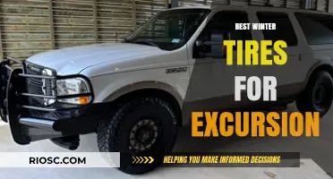 Top Winter Tires for Your Next Excursion: Stay Safe and Stylish on the Slopes