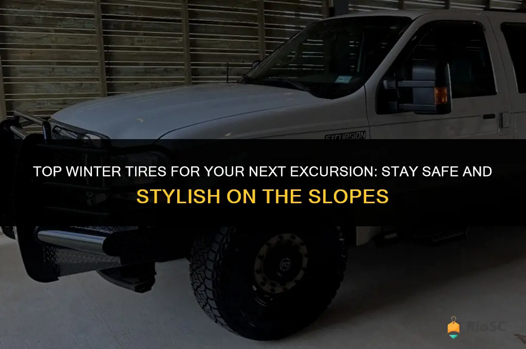 best winter tires for excursion