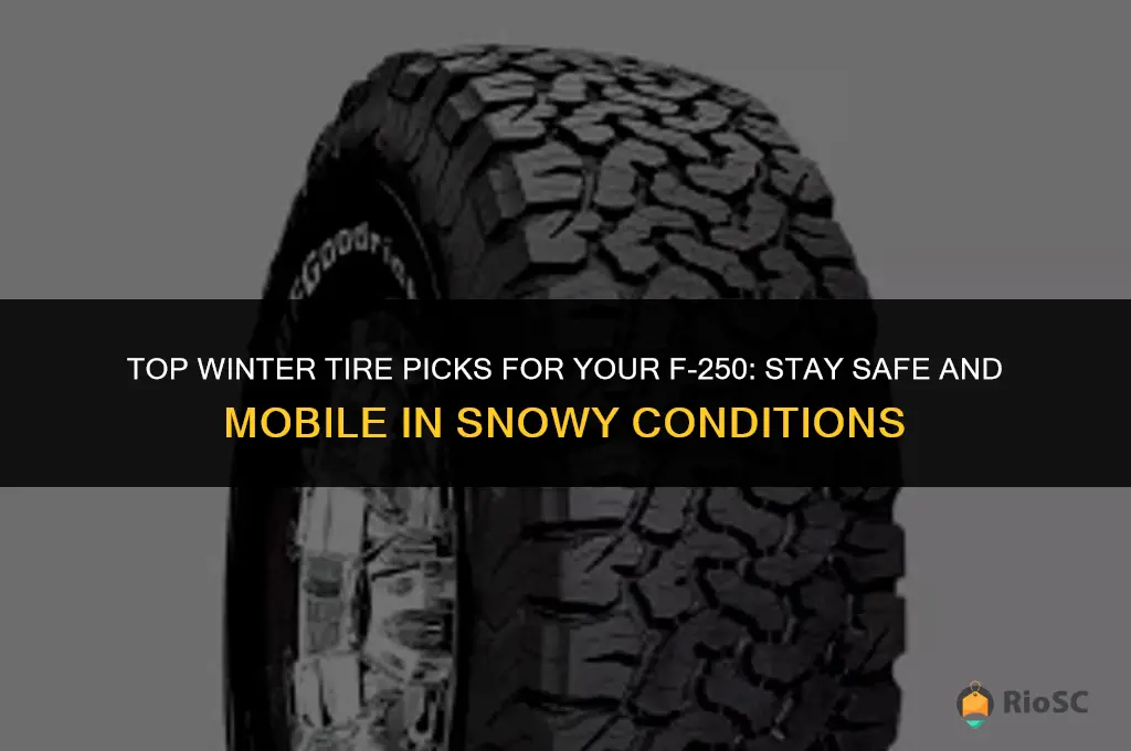 best winter tires for f250