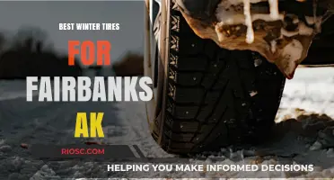 Top Winter Tire Picks for Fairbanks, AK: Stay Safe on Icy Roads
