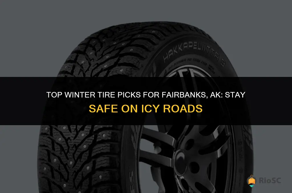 best winter tires for fairbanks ak