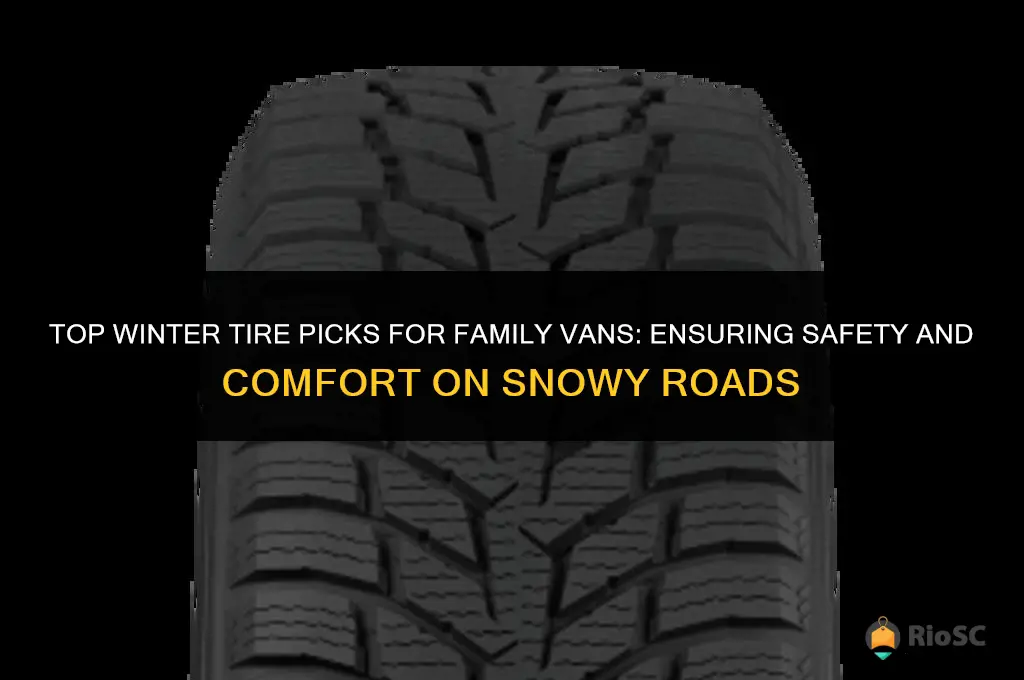 best winter tires for family vans