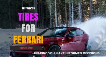 Top Winter Tire Picks for Your Ferrari: Stay Safe and Stylish on the Slippery Roads