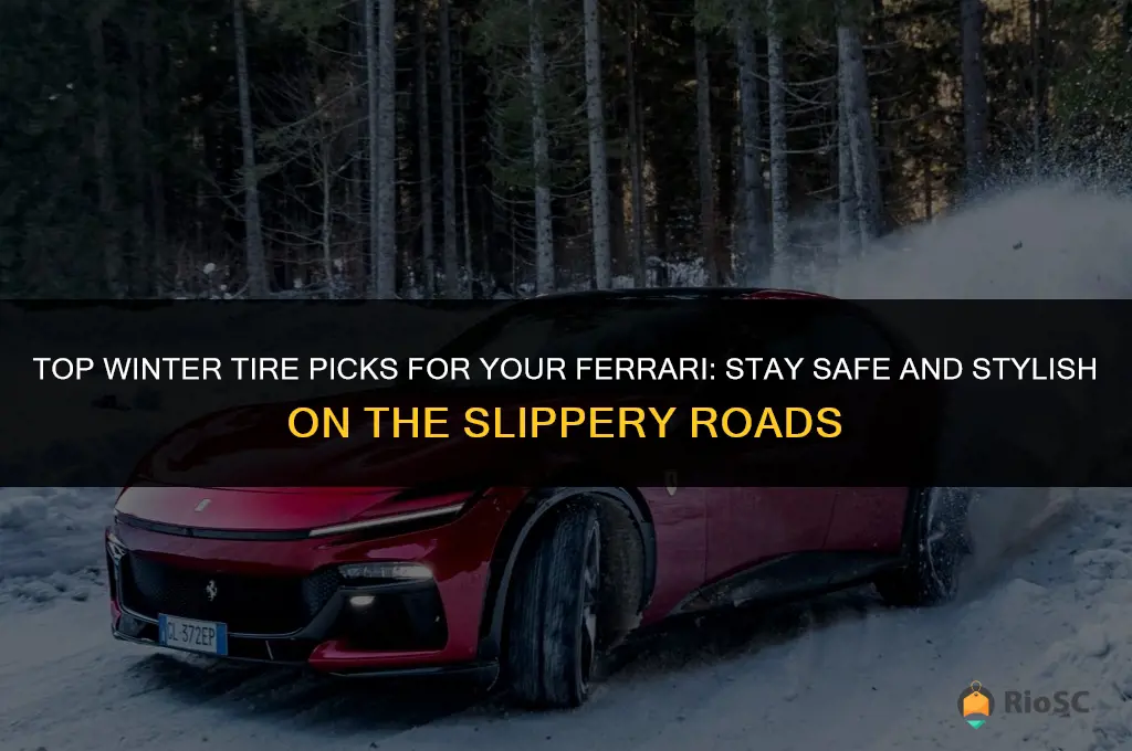 best winter tires for ferrari