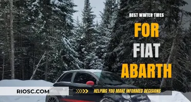 Top Winter Tire Picks for Fiat Abarth: Stay Safe and Stylish on Snowy Roads