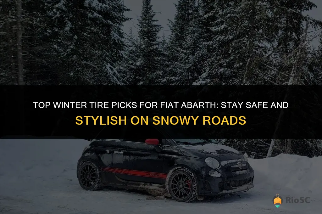 best winter tires for fiat abarth